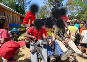 Polres Jayawijaya Amankan 13 Bibit Pohon Ganja