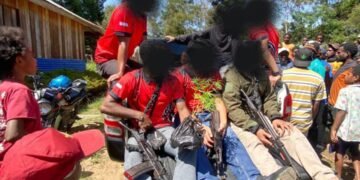 Polres Jayawijaya Amankan 13 Bibit Pohon Ganja