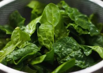 Kenali Bayam Duri dan Beragam Manfaatnya