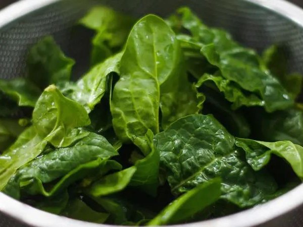 Kenali Bayam Duri dan Beragam Manfaatnya