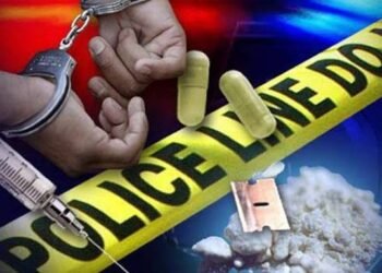 Bareskrim Polri Bongkar Penyelundupan Narkoba Asal Malaysia, Dua Kurir Dibekuk