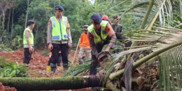 Polresta Cilacap Terjunkan Personel hingga Anjing Pelacak untuk Bantu Evakuasi Longsor di Cibeunying Kecamatan Majenang