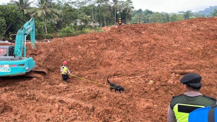Operasi SAR Longsor Cibeunying, Hari ke-10 Pencarian Dua Korban Dipusatkan pada Worksite A1 dan B1