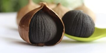 Black Garlic, Solusi Sangat Penting bagi Kesehatan