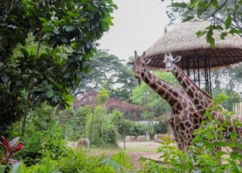Pakan Satwa Dipantau Ketat, Kondisi Satwa Bandung Zoo Relatif Sehat