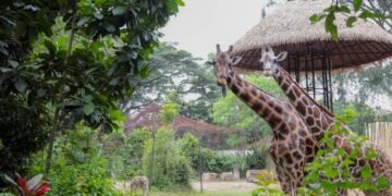 Pakan Satwa Dipantau Ketat, Kondisi Satwa Bandung Zoo Relatif Sehat