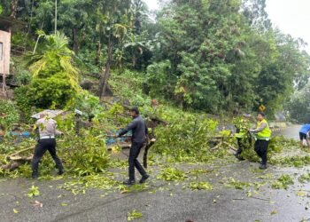 Satgas Kamseltibcarlantas Operasi Lilin Cartenz 2025 Cepat Tanggap Atasi Pohon Tumbang di Jayapura