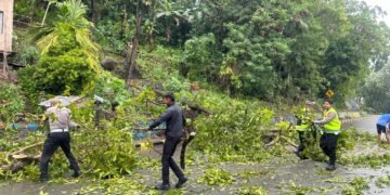 Satgas Kamseltibcarlantas Operasi Lilin Cartenz 2025 Cepat Tanggap Atasi Pohon Tumbang di Jayapura