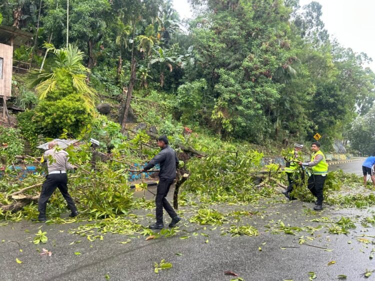 Satgas Kamseltibcarlantas Operasi Lilin Cartenz 2025 Cepat Tanggap Atasi Pohon Tumbang di Jayapura