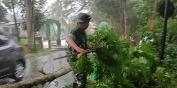 Bantu Tangani Pohon Tumbang Yang Menutupi Akses Jalan Utama, Koramil 1310-04/Dimembe Gerak Cepat
