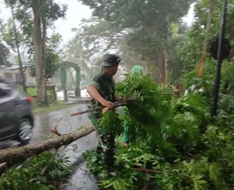 Bantu Tangani Pohon Tumbang Yang Menutupi Akses Jalan Utama, Koramil 1310-04/Dimembe Gerak Cepat