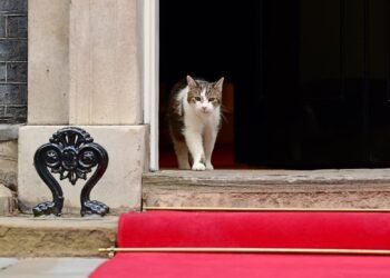Kembali ke Downing Street, Presiden Prabowo “Disambut” Larry the Cat