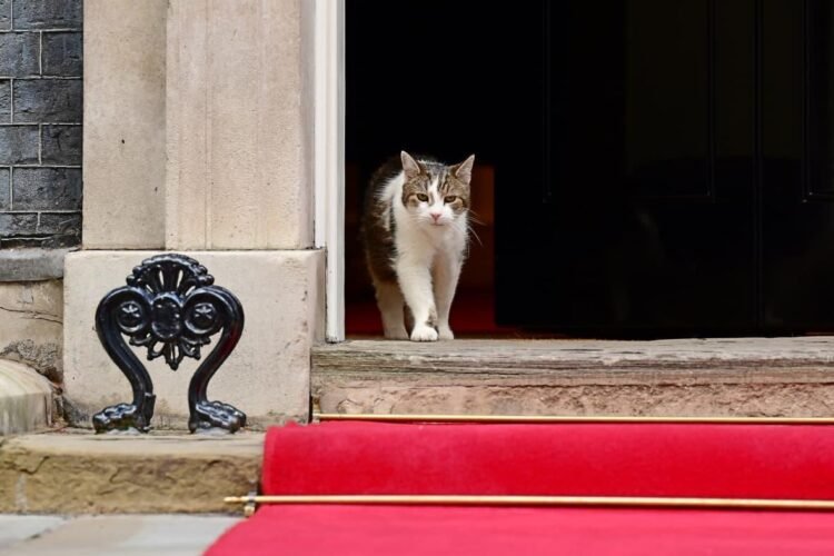 Kembali ke Downing Street, Presiden Prabowo “Disambut” Larry the Cat