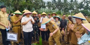 Dukung Program Hilirisasi Perkebunan, Dandim 1310/Bitung Ikut Tanam Kelapa