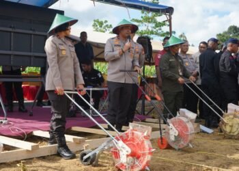 Polda Papua Barat Gelar Tanam Raya Jagung Dukung Ketahanan Pangan Nasional