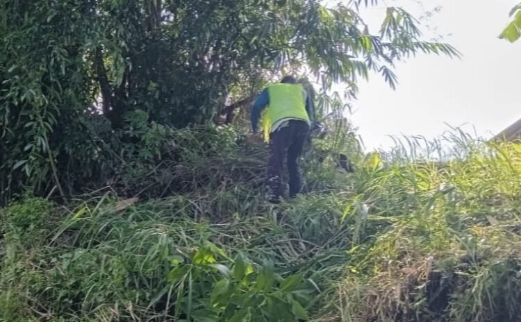 Pembangunan Jembatan Perintis Garuda di Rap-Rap Mulai Dikebut, Dukung Akses dan Perekonomian Warga