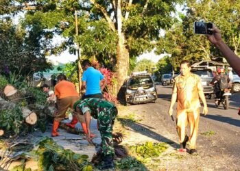 Atas Kesigapan Babinsa Jajarannya Atasi Bencana Pohon Tumbang, Dandim 1310/Bitung Beri Apresiasi