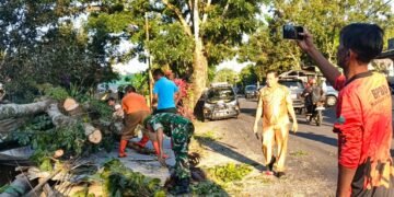 Atas Kesigapan Babinsa Jajarannya Atasi Bencana Pohon Tumbang, Dandim 1310/Bitung Beri Apresiasi