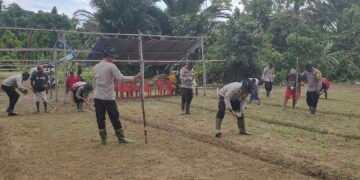 Polsek Bonggo Bersama Kelompok Tani Laksanakan Penanaman Benih Kacang Tanah di Kampung Rotea
