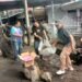 Bentuk Nyata Kepedulian TNI Terhadap Kebersihan Lingkungan, Kodim 1310/Bitung Gelar Karya Bakti Gerakan Indonesia Asri, Bersihkan Selokan dan Taman Median Jalan