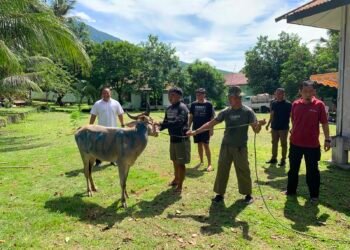 Momentum Perkuat Iman dan Pererat Hubungan Silaturahmi TNI dan Masyarakat, Kodim 1310/Bitung Gelar Sholat Idul Adha 1447 H dan Serahkan Hewan Qurban