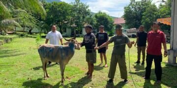 Momentum Perkuat Iman dan Pererat Hubungan Silaturahmi TNI dan Masyarakat, Kodim 1310/Bitung Gelar Sholat Idul Adha 1447 H dan Serahkan Hewan Qurban