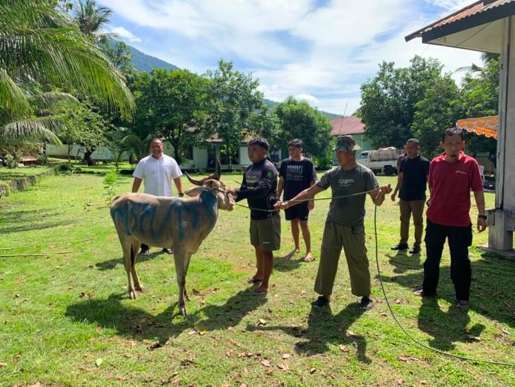 Momentum Perkuat Iman dan Pererat Hubungan Silaturahmi TNI dan Masyarakat, Kodim 1310/Bitung Gelar Sholat Idul Adha 1447 H dan Serahkan Hewan Qurban