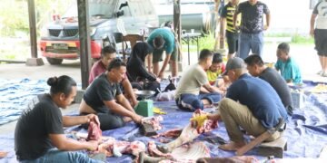 Momentum Idul Adha, Polres Sarmi Berbagi Kebahagiaan Melalui Pemotongan Hewan Kurban