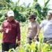 Wakapolda Papua Barat dan Kepala BRMP Optimalkan Pengembangan Benih Jagung untuk Ketahanan Pangan Papua Barat