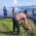 Sambut HUT ke-81 RI, Satpolairud Polres Sarmi Bersama Nelayan Nusantara Bersihkan Pantai Kali Bagre