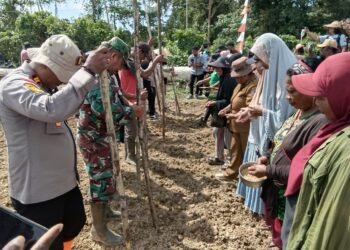 Polri Hadir Dukung Ketahanan Pangan, Kapolsek Bonggo Ikut Tanam dan Panen Bersama Petani Tetom Jaya