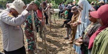 Polri Hadir Dukung Ketahanan Pangan, Kapolsek Bonggo Ikut Tanam dan Panen Bersama Petani Tetom Jaya