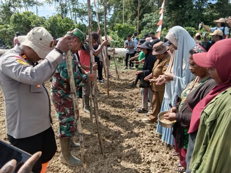 Polri Hadir Dukung Ketahanan Pangan, Kapolsek Bonggo Ikut Tanam dan Panen Bersama Petani Tetom Jaya