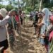 Polri Hadir Dukung Ketahanan Pangan, Kapolsek Bonggo Ikut Tanam dan Panen Bersama Petani Tetom Jaya