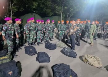TNI Kerahkan Satgas Khusus Percepat Penanganan Karhutla di Riau
