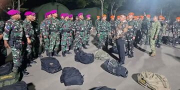 TNI Kerahkan Satgas Khusus Percepat Penanganan Karhutla di Riau