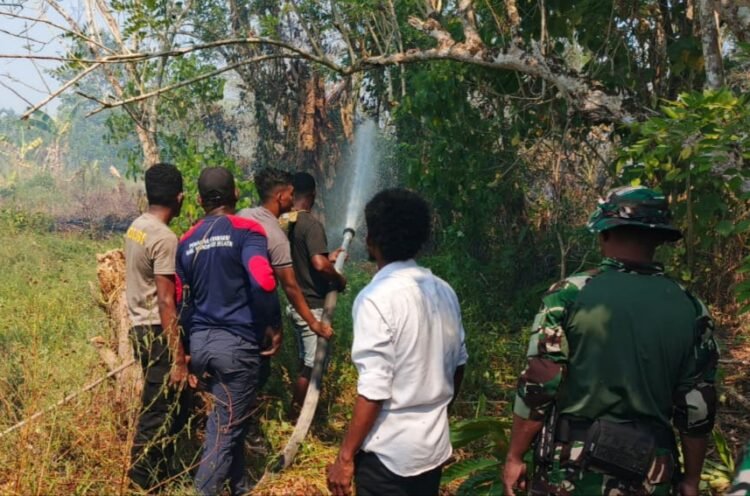 Dua Titik Karhutla Terdeteksi di Momiwaren, Polisi dan Tim Gabungan Lakukan Pemadaman