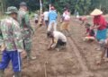 Waka Polsek Bonggo Bersama Masyarakat Gerakkan Pertanian dan Ketahanan Pangan di Kampung Srum