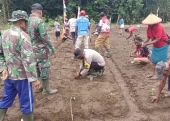 Waka Polsek Bonggo Bersama Masyarakat Gerakkan Pertanian dan Ketahanan Pangan di Kampung Srum