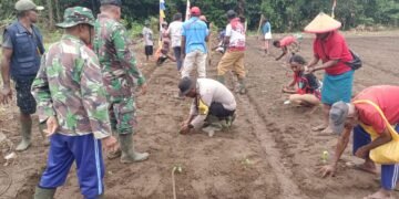 Waka Polsek Bonggo Bersama Masyarakat Gerakkan Pertanian dan Ketahanan Pangan di Kampung Srum