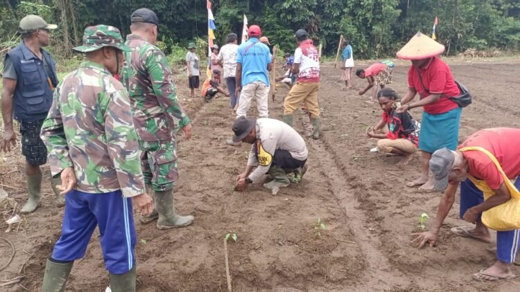 Waka Polsek Bonggo Bersama Masyarakat Gerakkan Pertanian dan Ketahanan Pangan di Kampung Srum