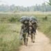 Aksi Airborne Lima Negara Warnai Latgabma SGS 2026