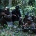 Latgabma SGS 2026, Menguji Ketangguhan Sinergi Land Joint Strike Antar Negara Pada Latihan Puncak