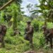 Kewaspadaan dan Komunikasi Terpadu Jadi Kunci Latihan Force on Force SGS MARFOR Lampung 2026