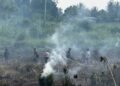 Kebakaran Lahan Kosong di Jalan Bintuni–Manimeri, Tim Karhutla Polres Teluk Bintuni Bergerak Cepat Padamkan Api