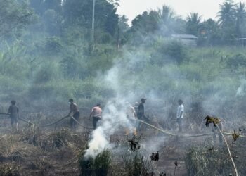 Kebakaran Lahan Kosong di Jalan Bintuni–Manimeri, Tim Karhutla Polres Teluk Bintuni Bergerak Cepat Padamkan Api