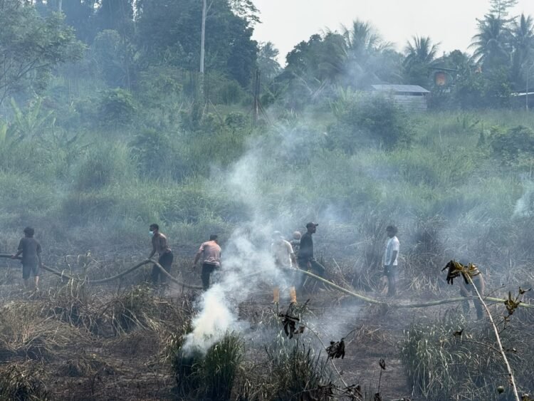 Kebakaran Lahan Kosong di Jalan Bintuni–Manimeri, Tim Karhutla Polres Teluk Bintuni Bergerak Cepat Padamkan Api