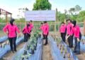 Bhayangkari Bonggo Gerakkan Ketahanan Pangan, Ratusan Bibit Ditanam di Lahan P2L