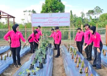 Bhayangkari Bonggo Gerakkan Ketahanan Pangan, Ratusan Bibit Ditanam di Lahan P2L