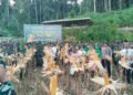 Panen Raya Jagung Yon TP 809 Sarmi, Polres Sarmi Dukung Penguatan Ketahanan Pangan